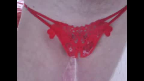 sv27 online show from January 2025 08:26:02 AM