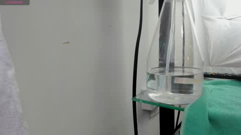 Snapshot of sven_basquiat chatting on March 2026 07:29:01 PM Sven online show from March 2026 07:29:01 PM