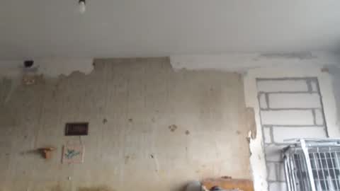 Snapshot of svetifox chatting on February 2025 02:02:01 PM Sveti online show from February 2025 02:02:01 PM