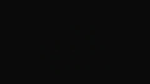 Swakken online show from January 2025 08:47:01 PM