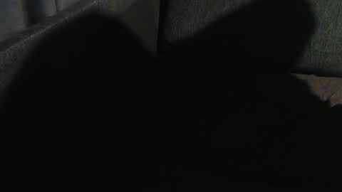 Snapshot of swartarn chatting on January 2025 11:03:02 PM ArnSwart online show from January 2025 11:03:02 PM