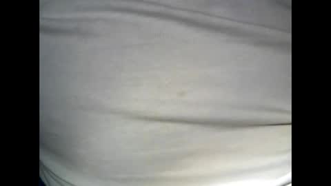 Snapshot of swedfred1 chatting on December 2024 04:53:02 AM Brad online show from December 2024 04:53:02 AM