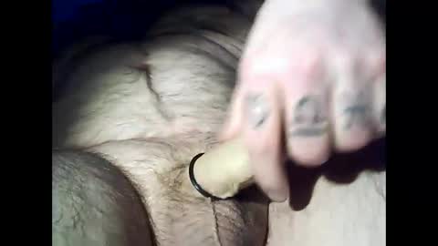 Snapshot of swedfred1 chatting on December 2024 03:47:02 AM Brad online show from December 2024 03:47:02 AM