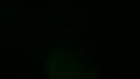 sweeetiiefox online show from February 2026 10:13:02 AM