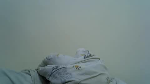 Alice online show from May 2026 09:04:01 AM