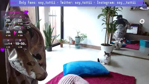 Tutti  online show from January 2026 04:12:01 PM