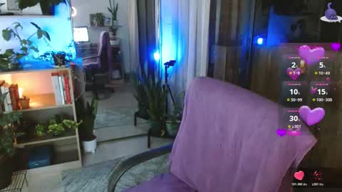 Tutti  online show from February 2026 10:32:01 AM