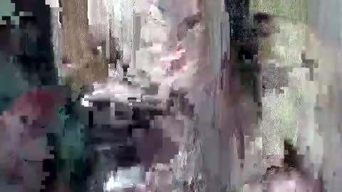 sweet_chel online show from May 2026 02:39:01 AM