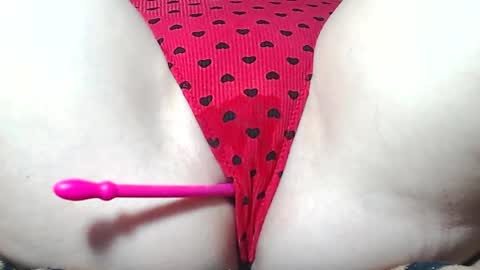 Kitten online show from April 2026 08:56:02 AM