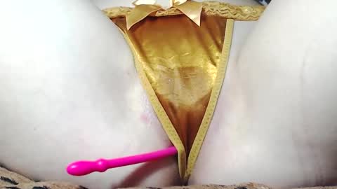 Kitten online show from May 2026 07:27:02 AM