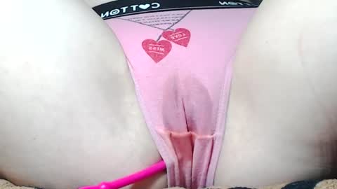 Kitten online show from June 2026 08:19:01 AM
