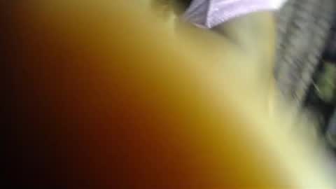 Kush online show from June 2026 05:15:01 AM