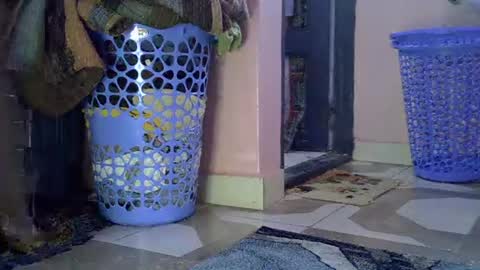 Lisa online show from February 2026 08:13:02 AM