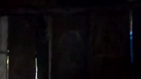 Snapshot of sweet_nessa30 chatting on February 2026 06:17:01 AM sweet_nessa30 online show from February 2026 06:17:01 AM