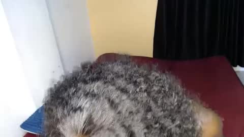 ellanah Tracie online show from September 2025 12:04:01 AM