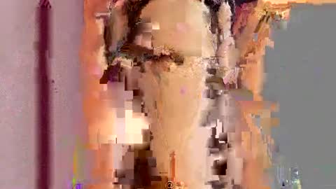          online show from July 2026 07:41:01 PM