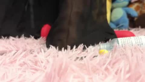  Sweet  online show from May 2026 10:48:01 PM