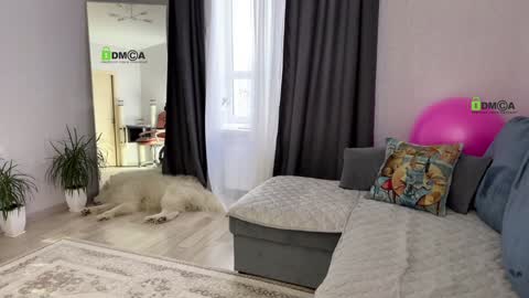 Snapshot of sweetdreamvic chatting on January 2025 12:42:01 PM Vicktorious online show from January 2025 12:42:01 PM