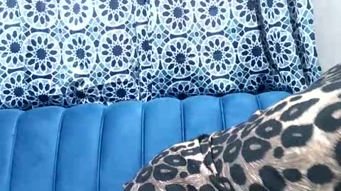 sweetgal11 online show from July 2026 10:32:01 AM