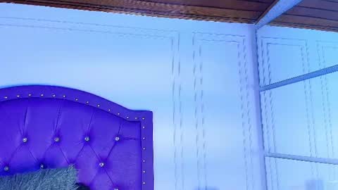 violeta online show from July 2026 11:06:02 AM