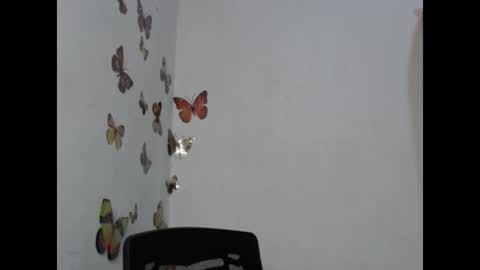zuri online show from July 2026 11:00:01 PM