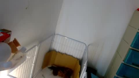 Snapshot of sweetlilly_18 chatting on January 2025 05:20:01 PM Lilly online show from January 2025 05:20:01 PM