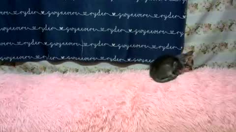 sweetnipples1987 online show from June 2026 07:49:01 PM