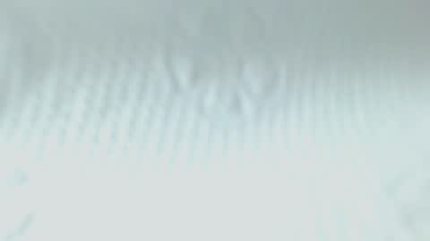 Ghena online show from May 2026 02:51:02 AM