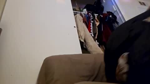 Snapshot of sweetp3ach29 chatting on December 2024 06:53:02 AM sweetp3ach29 online show from December 2024 06:53:02 AM