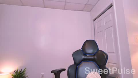 Snapshot of sweetpulse_ chatting on December 2024 10:12:01 PM Rose online show from December 2024 10:12:01 PM