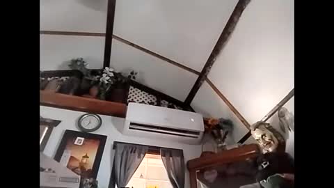 Snapshot of sweetsugar64 chatting on February 2026 04:23:02 PM sweetsugar64 online show from February 2026 04:23:02 PM