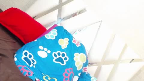 sweetsultrysiren online show from January 2025 06:35:01 PM