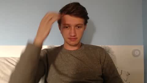 Cat online show from February 2026 11:31:02 AM