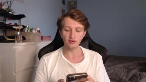 Cat online show from February 2026 08:51:01 AM