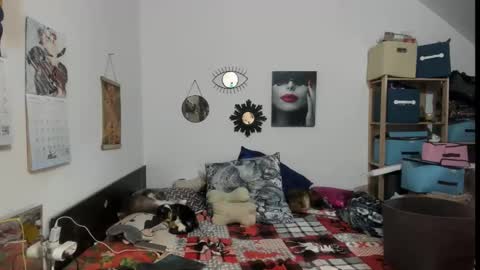 Snapshot of switchlorenx chatting on February 2026 11:45:01 PM switchlorenx online show from February 2026 11:45:01 PM