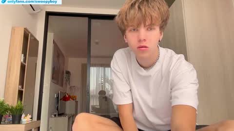 Snapshot of swoopyboy chatting on November 2025 04:00:01 AM swoopyboy online show from November 2025 04:00:01 AM