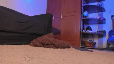 Snapshot of syd_onnfire chatting on December 2024 02:32:01 AM Syd online show from December 2024 02:32:01 AM