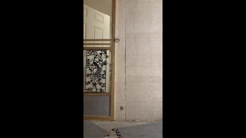 syevecrl online show from May 2026 08:50:01 PM