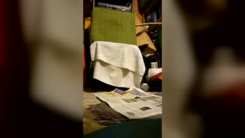 syevecrl online show from July 2026 07:47:01 AM