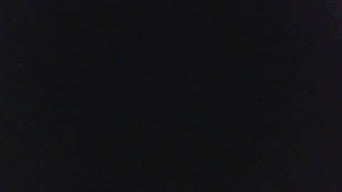 Snapshot of sylvertaurus1 chatting on October 2025 11:55:02 AM sylvertaurus1 online show from October 2025 11:55:02 AM