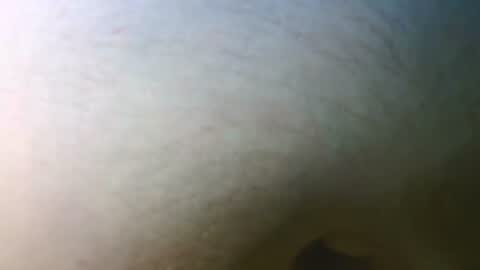 syrius57920 online show from November 2025 05:13:01 PM