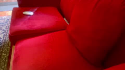 t3ns0r_ online show from July 2026 06:47:01 PM