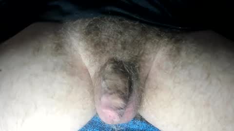 Snapshot of tacosize chatting on February 2025 03:35:01 PM mr taco online show from February 2025 03:35:01 PM