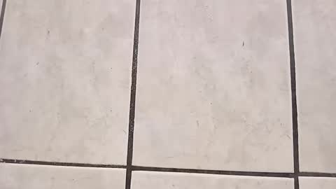 Snapshot of tall6feet7inch chatting on September 2025 08:03:01 PM tall6feet7inch online show from September 2025 08:03:01 PM