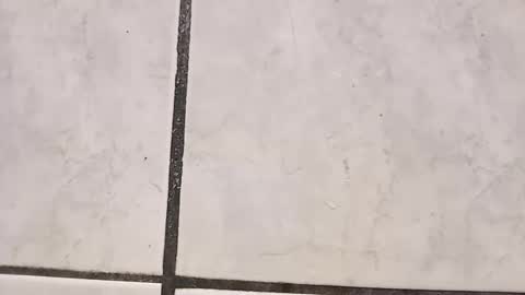 Snapshot of tall6feet7inch chatting on September 2025 08:41:01 AM tall6feet7inch online show from September 2025 08:41:01 AM