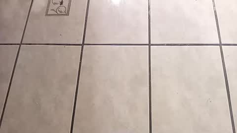 Snapshot of tall6feet7inch chatting on October 2025 09:04:02 AM tall6feet7inch online show from October 2025 09:04:02 AM