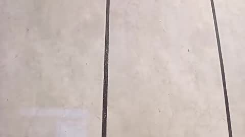 Snapshot of tall6feet7inch chatting on October 2025 12:02:02 PM tall6feet7inch online show from October 2025 12:02:02 PM