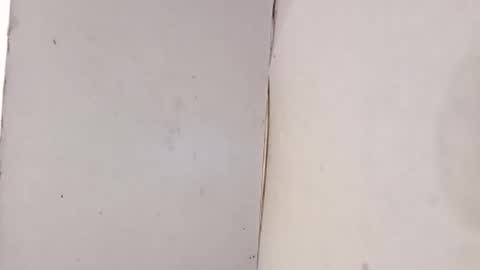 Snapshot of tall6feet7inch chatting on February 2026 10:08:02 PM tall6feet7inch online show from February 2026 10:08:02 PM