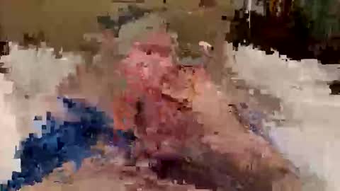 tallnfun101 online show from February 2026 11:44:02 AM