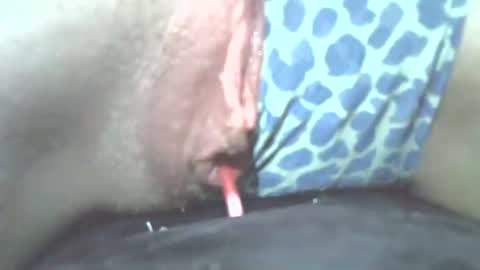 Snapshot of tamesbury chatting on November 2025 02:25:01 AM tamesbury online show from November 2025 02:25:01 AM